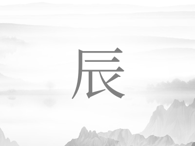 带辰字的男孩名字