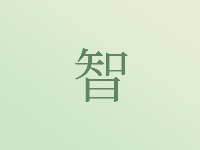 带智字的男孩名字