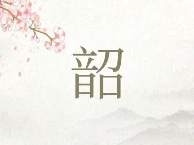 带韶字的男孩名字